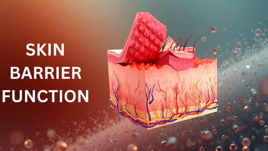 Skin Barrier Health: Why It Matters More With Age