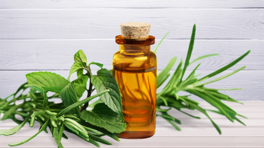 How Tea Tree Oil Keeps Skin Balanced and Clear